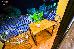 Thumbnail 47