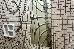 Thumbnail 38