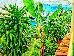 Thumbnail 41