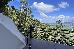 Thumbnail 98