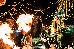 Thumbnail 86