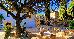 Thumbnail 213