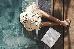 Thumbnail 118