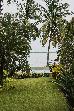 Thumbnail 106