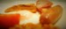 Thumbnail 39
