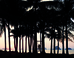 Thumbnail 26
