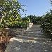 Thumbnail 22