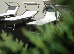 Thumbnail 16