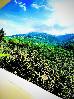 Thumbnail 42