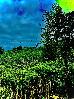 Thumbnail 44
