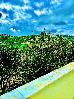 Thumbnail 51