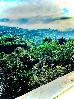 Thumbnail 62