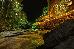 Thumbnail 26