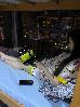 Thumbnail 35