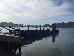 Thumbnail 172