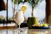 Thumbnail 88