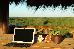 Thumbnail 64