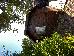 Thumbnail 32