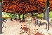 Thumbnail 22