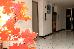 Thumbnail 16