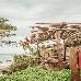 Thumbnail 28