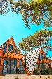Thumbnail 12