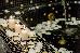 Thumbnail 23