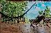 Thumbnail 19