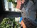 Thumbnail 43