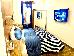 Thumbnail 14