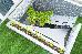 Thumbnail 28