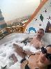 Thumbnail 14