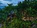 Thumbnail 17