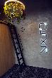 Thumbnail 16