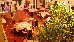 Thumbnail 17