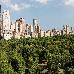 Thumbnail 354