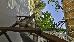 Thumbnail 27