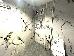 Thumbnail 29