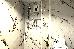Thumbnail 65