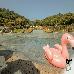 Thumbnail 27
