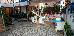 Thumbnail 25