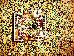 Thumbnail 72