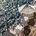 Thumbnail 244