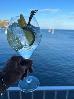 Thumbnail 217