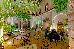 Thumbnail 19