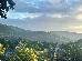 Thumbnail 62