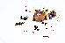Thumbnail 66