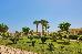 Thumbnail 172
