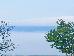 Thumbnail 40