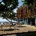 Thumbnail 49